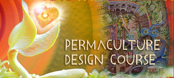 Pachamama - Permaculture Course - Upward Spirals
