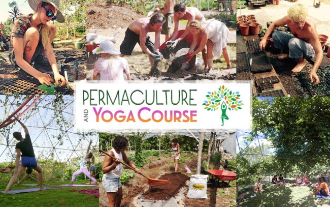 Permaculture Yoga Course - Rancho Delicioso - Upward Spirals