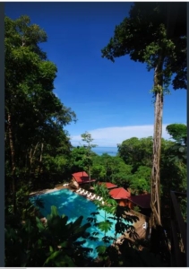 Jungle Bungalows and Ocean View Elegance - Host a retreat event yoga costa rica - Upward Spirals Successful Retreats (29)