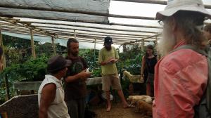 Organic food production at M and B Organico (4)